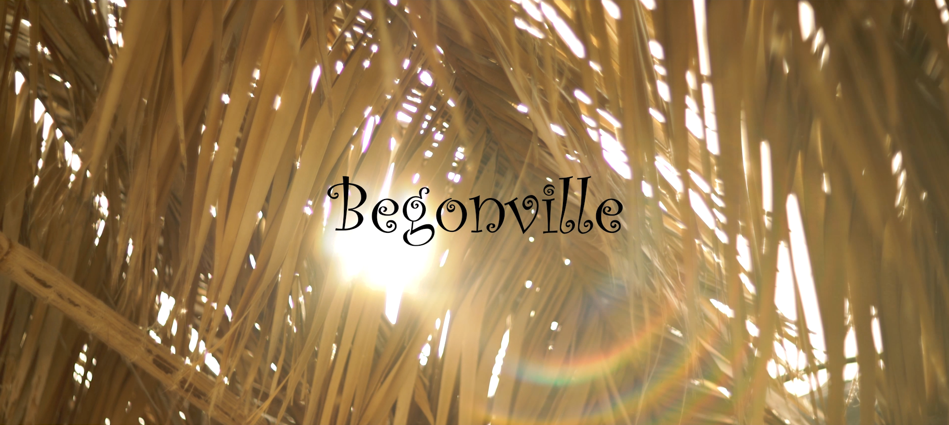 Welcome to the New Begonville